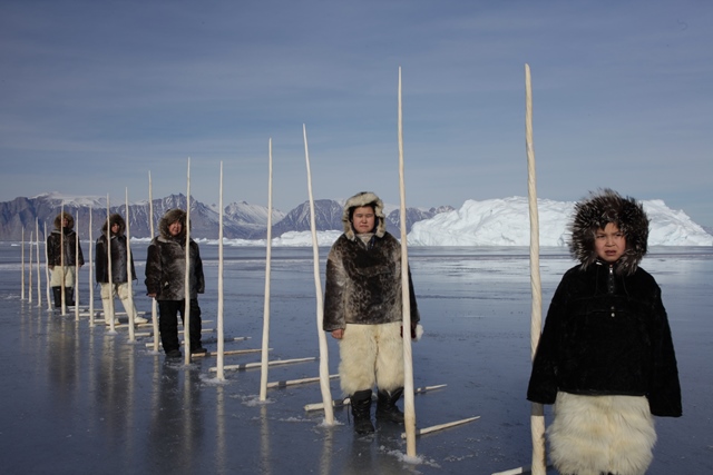 Narwhale tusks on the ice